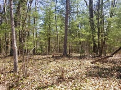 VL M-37 (Woodbridge), Bitely, MI 49309 - photo 3