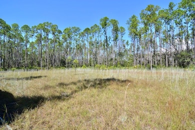 00 Key Deer unit LotWP001, Perry, FL 32348 - photo 4