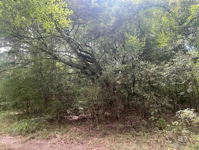 0 Mcdowell Rd, Bay Minette, AL 36507 - photo 6