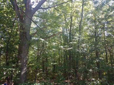 IMG_20180914_152751493