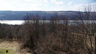 View of Otisco Lake above garage.