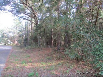 00 SW 200th Cir, Dunnellon, FL 34431 - photo 2