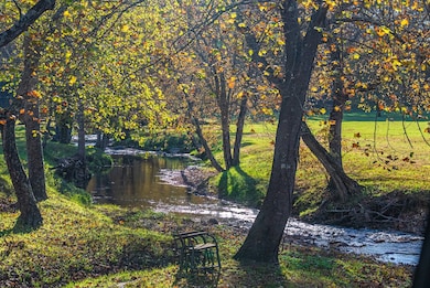 2887 Tessentee Rd, Franklin, NC 28734 - photo 5