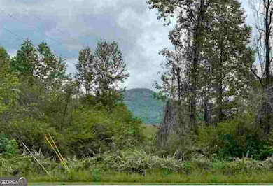 0 Asbestos Rd unit 10644874, Cleveland, GA 30528 - photo 5