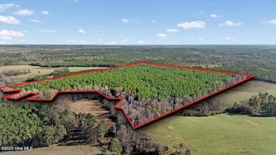 35895 N Carolina 561, Hollister, NC 27844 - photo 5