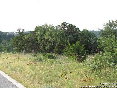 19519 Terra Elm, San Antonio, TX 78255 - photo 4