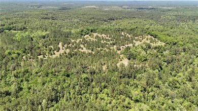 Drone / aerial view with a forest view