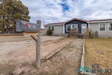 3024 Carver St, Carlsbad, NM 88220 - photo 4