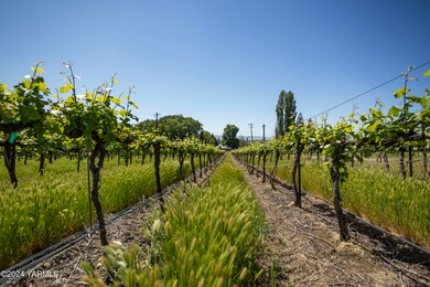 0 Wilson Hwy, Grandview, WA 98930 - photo 3