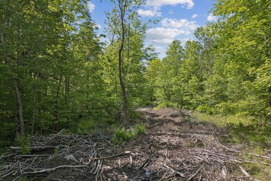 2_DJI_20250602093243_0334_D