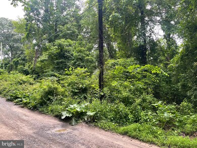 Sect A 16-23 Dogwod Trail, Harpers Ferry, WV 25425 - photo 5