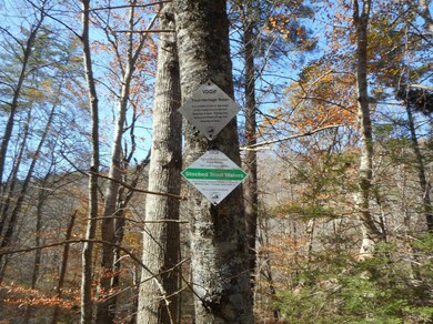 591 Pedlar River Rd, Vesuvius, VA 24483 - photo 4