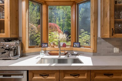 Sink view