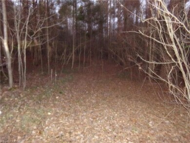 Tract 6 E Fork Dr, Seagrove, NC 27341 - photo 5