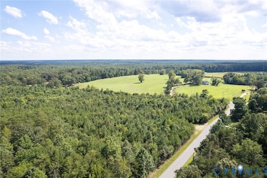 Aerial view of a forest