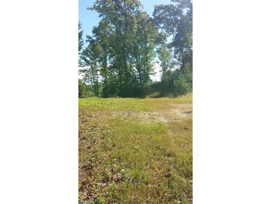 0 Township Road 285 unit 3657531, Coshocton, OH 43812 - photo 3