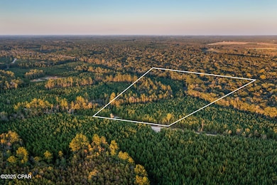 XXX Open Creek Rd unit South Lot, Chipley, FL 32425 - photo 4