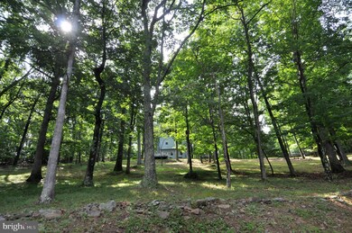 751 Levels View Rd, Paw Paw, WV 25434 - photo 5