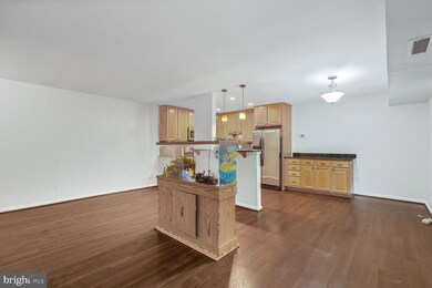 6143 Leesburg Pike unit 502, Falls Church, VA 22041 - photo 7