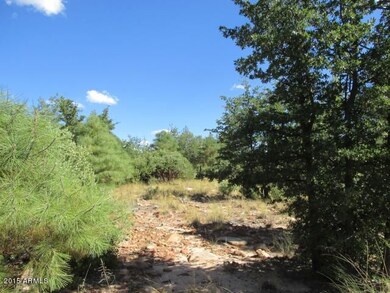 Photo 05