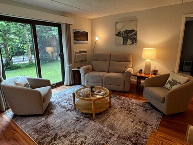 23 Black Bear Rd unit 103, Waterville Valley, NH 03215 - photo 4