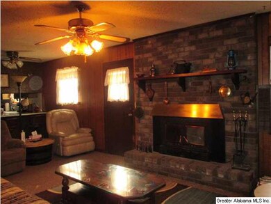 Large Den w/fireplace