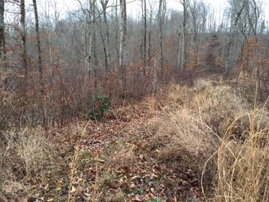 13001 Highway 192, Somerset, KY 42501 - photo 5