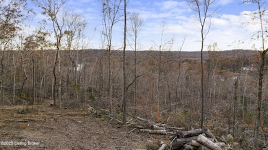 3745 Rocky Hill Estates Dr, Clarkson, KY 42726 - photo 4