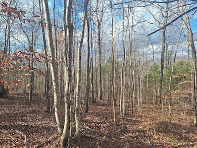 0 Circle g Dr, Lawrenceburg, TN 38464 - photo 3