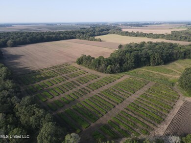 DJI_0477