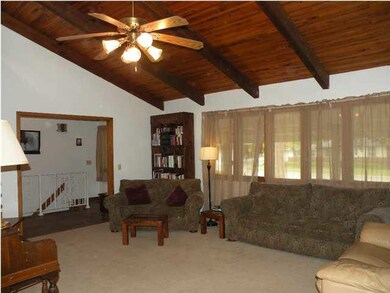 Plenty of windows to let in the light.