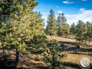 86 Remington Trail, Roundup, MT 59072 - photo 5