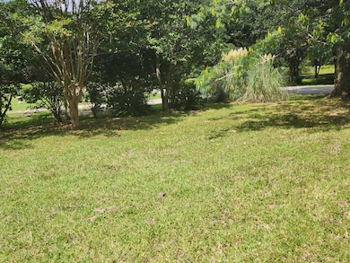 1132 Brownswood Rd, Johns Island, SC 29455 - photo 5