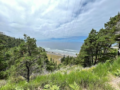 TL#3900 S Castle Ln, Oceanside, OR 97141 - photo 3