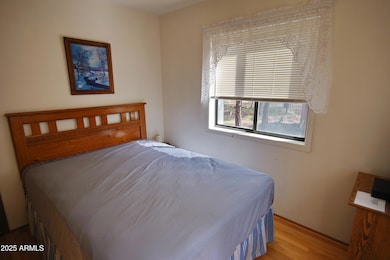 1007 W Old Pine Trail, Payson, AZ 85541 - photo 5