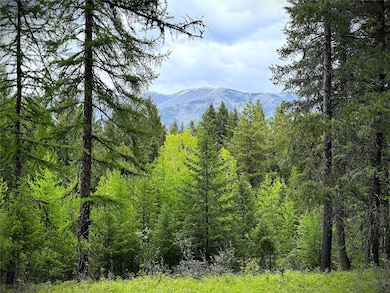 NHN Lagoon Dr, Trego, MT 59934 - photo 3