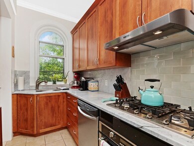 340 Tappan St unit 1, Brookline, MA 02445 - photo 6