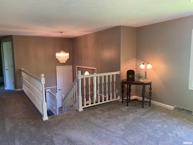 4022 W Legion Hall Rd, Dunlap, IL 61525 - photo 7