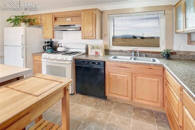 6355 Fieldview Way, Peyton, CO 80831 - photo 4