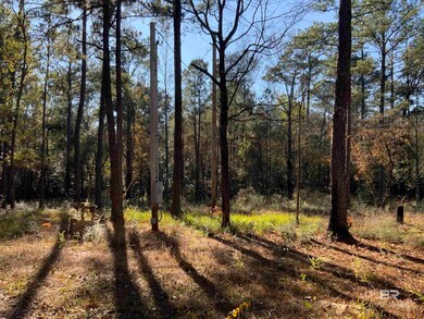 10 Drinkard Rd, Bay Minette, AL 36507 - photo 5