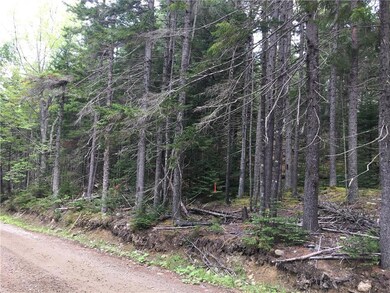 Road frontage on Young's Road Side...