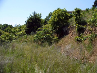 Tbd Johnson Way Ln, Kimberling City, MO 65686 - photo 6