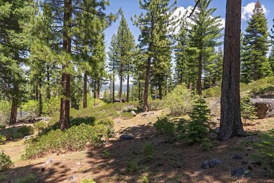 9486 Clermont Ct, Truckee, CA 96161 - photo 6