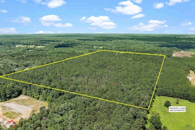 TBD Pr 1335 unit TRACT 2, Marshall, TX 75672 - photo 4