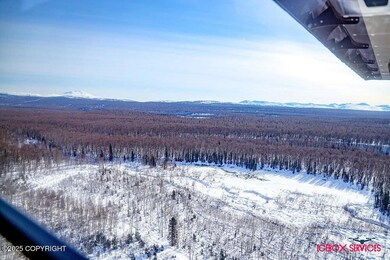 20801 E Baruch Loop, Talkeetna, AK 99676 - photo 7