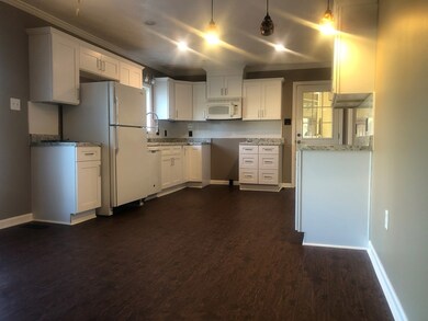 Fully renovated kitchen