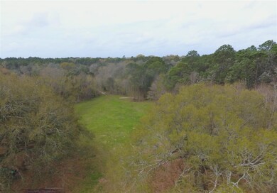 7900 Chellie Rd, Northwest Pensacola, FL 32526 - photo 5