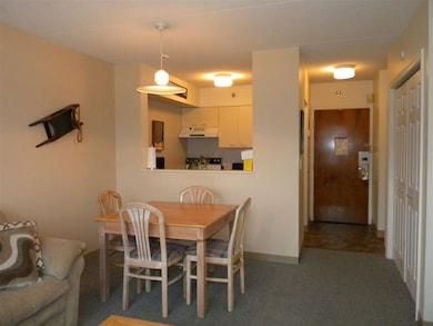 28 Packard Rd unit 411, Waterville Valley, NH 03215 - photo 2