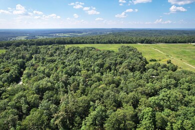 4-web-or-mls-DJI_0024