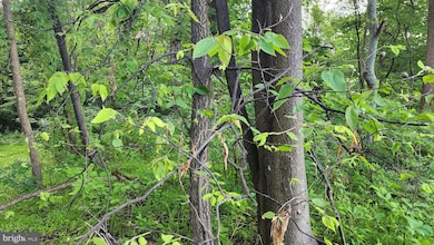 50 Oak Ridge Trail, Carroll Valley, PA 17320 - photo 2